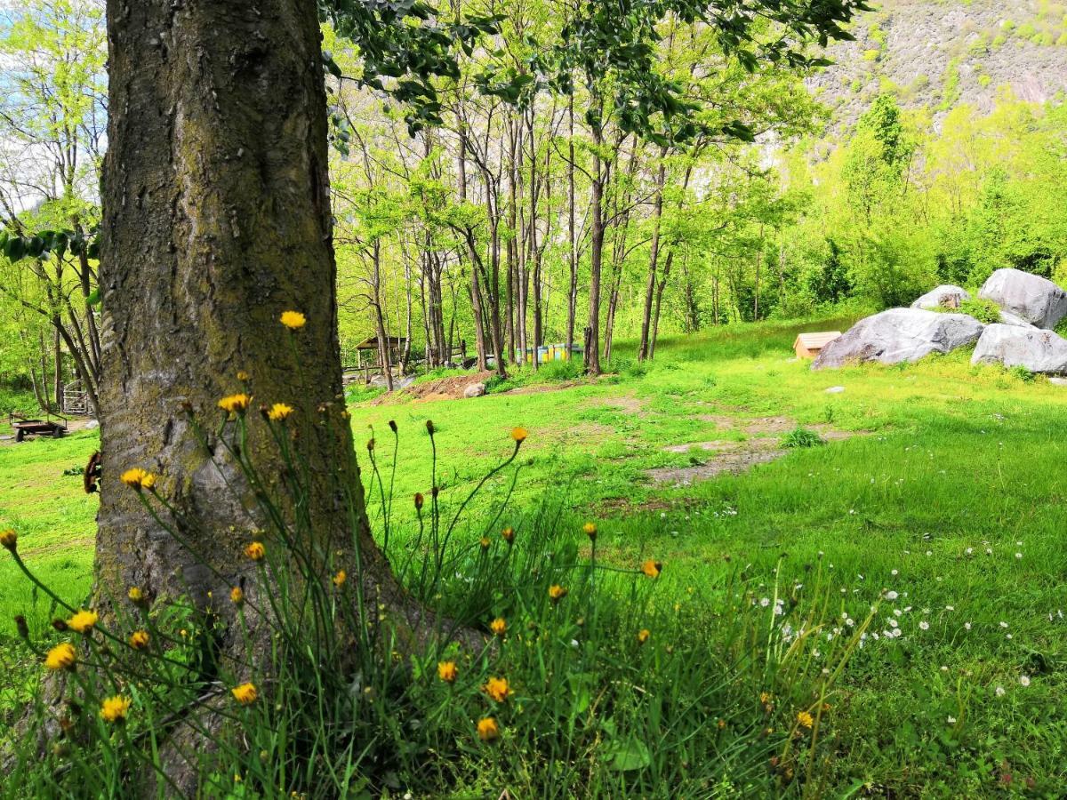 Agriturismo Val Codera Verceia Екстериор снимка