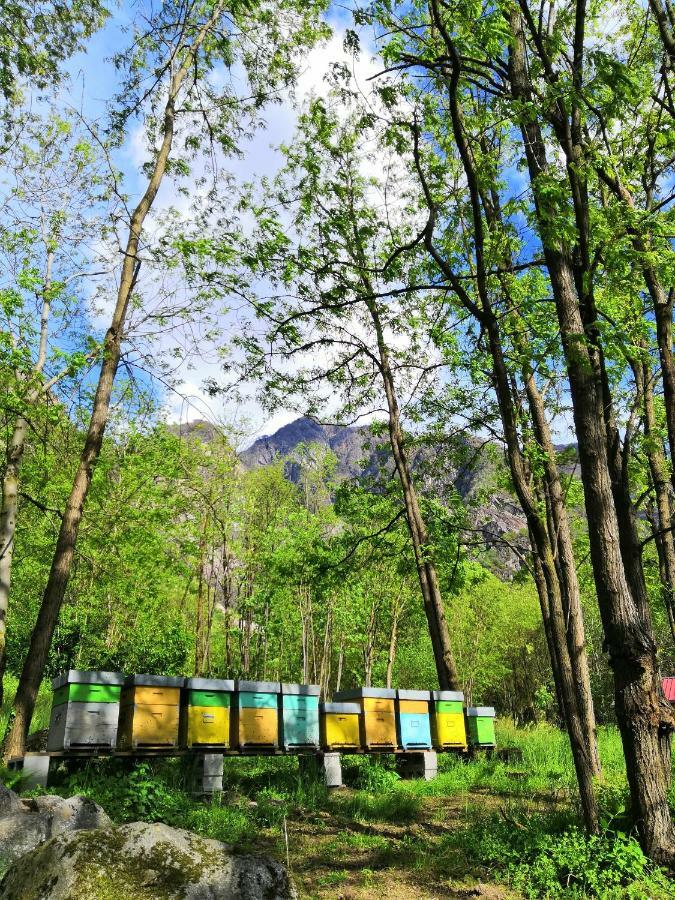 Agriturismo Val Codera Verceia Екстериор снимка