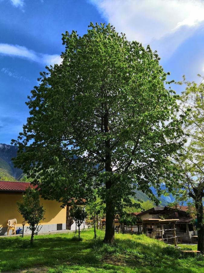 Agriturismo Val Codera Verceia Екстериор снимка